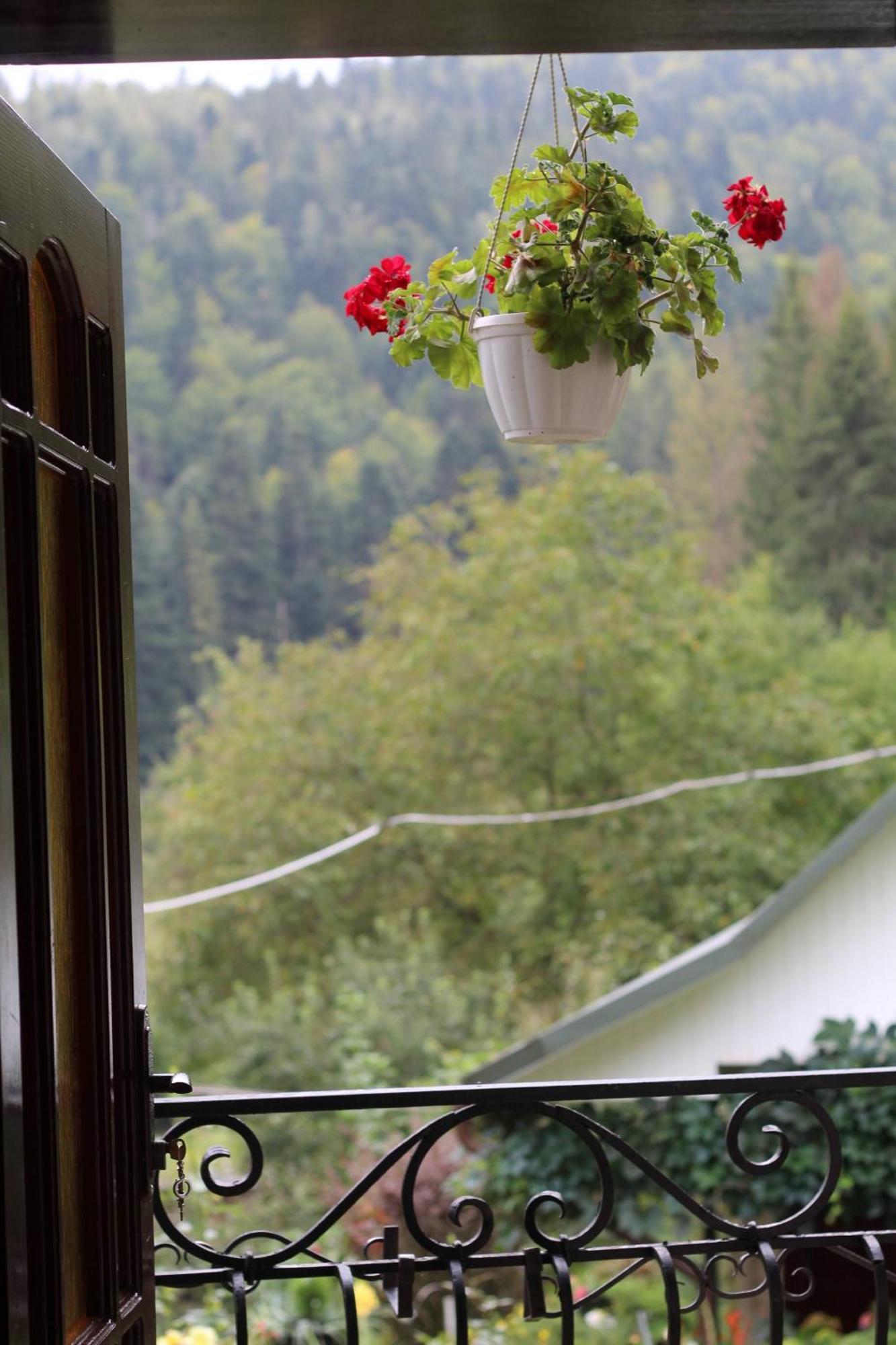 Котедж "Красний Краєвид" Yaremche Room photo